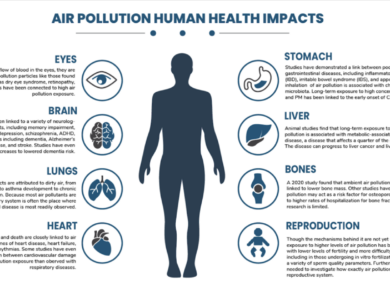 The Impact of Air Quality on Lung Health