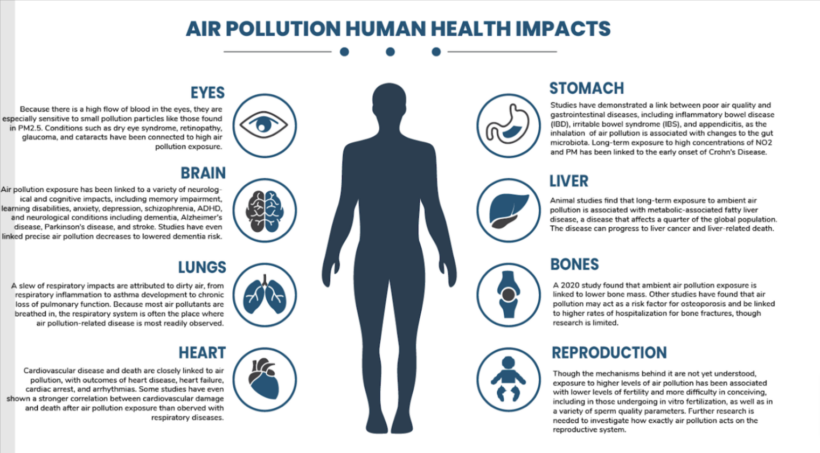 The Impact of Air Quality on Lung Health